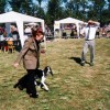 Interdog Bohemia 2003: Abax