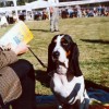 Interdog Bohemia 2003: Abax