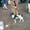 CACIB München 2005