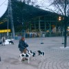CACIB München 2005
