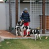 Bodie, Bijou, Elf