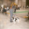 42. EURODOGSHOW