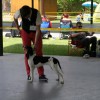 Meira