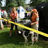 Bodie Interdog Bohemia 2013