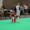 BENELUX WINNER