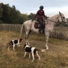 Habone a Greta