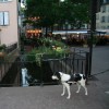 Colmar