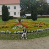 Valtice