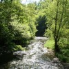 Metuje