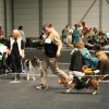 NVP Erfurt