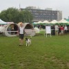 International Dog Show Krakow