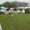 International Dog Show Krakow