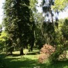 Americká zahrada
